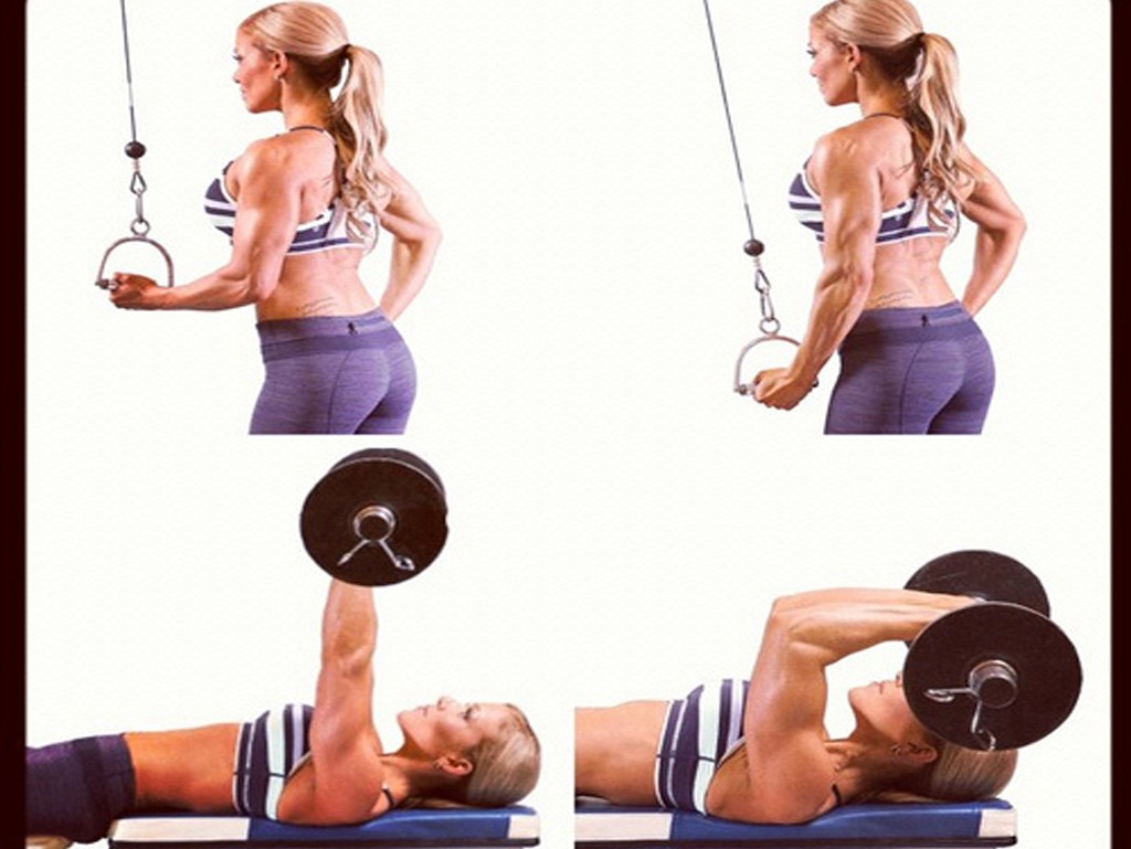 Triceps Extension1